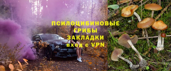 спиды Кодинск
