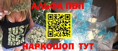 СК Волгодонск