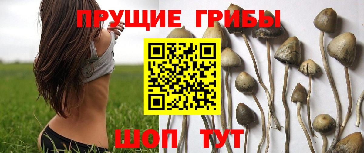 Псилоцибиновые грибы Magic Shrooms Ижевск