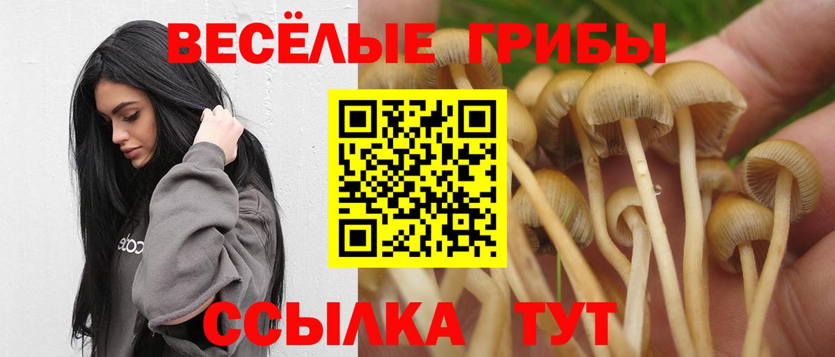 Галлюциногенные грибы Psilocybe Ижевск