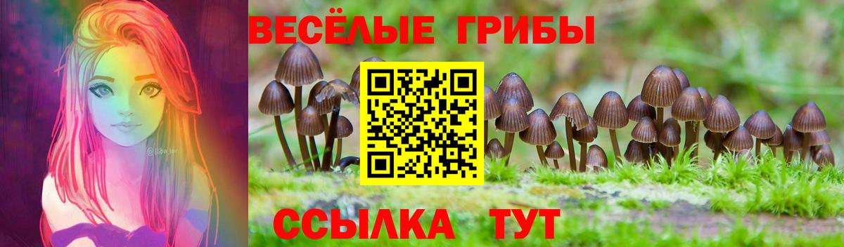 Псилоцибиновые грибы Cubensis  Вход с VPN  Галлюциногенные грибы GOLDEN TEACHER  Ижевск 